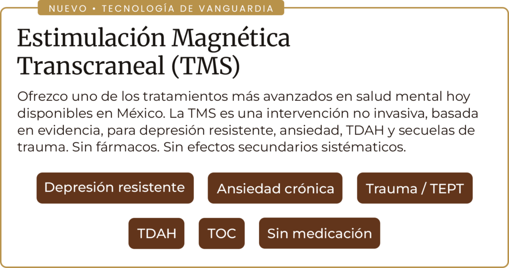 Estimulacion magnetica